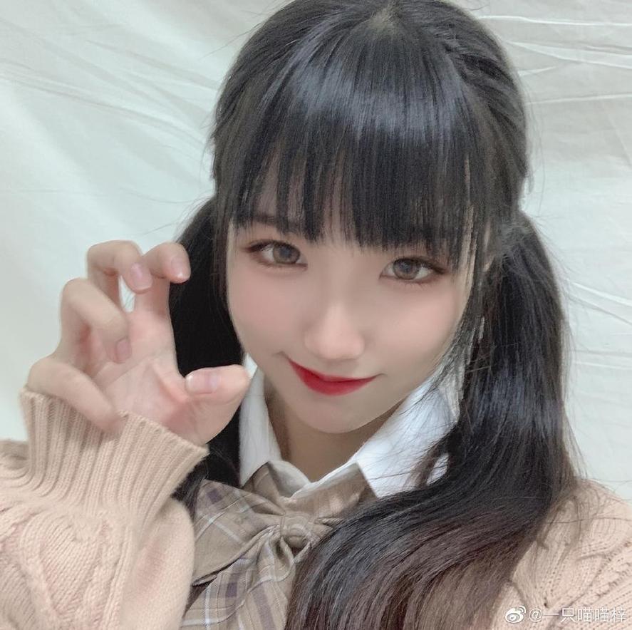 照片图包一只喵喵梓花絮，成就了完美的摄影艺术