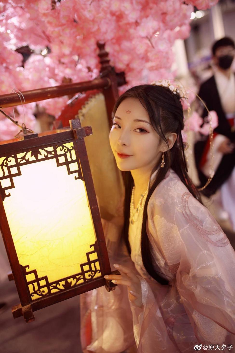 欣赏原天夕子大象图，感受她的摄影大作。