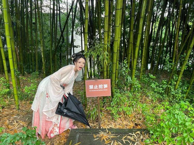 着迷秋和柯基地下拳击的粉丝必备，下载免费的赏析图包