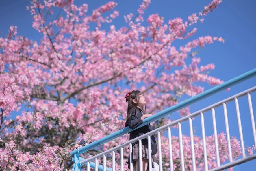 照片大放送：萌芽儿爱丽丝cosplay原图解析